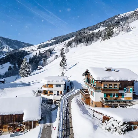 Andre 1 Wald im Pinzgau